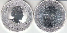 Australien Känguru 2022 1 Unze Silber, in Kapsel