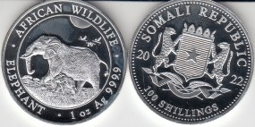 Somalia Elefant 2023 1 Unze Silber