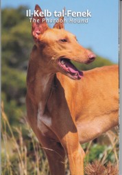 Malta 2 Euro 2026 Pharaonenhund im Blister